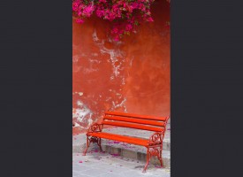 Bench with bougainvillea
