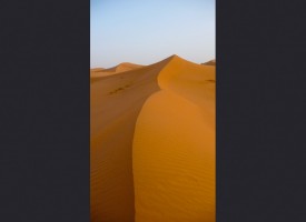 Sahara dune ridge