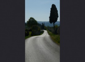 Tuscan back road