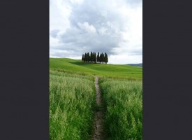 Tuscan path
